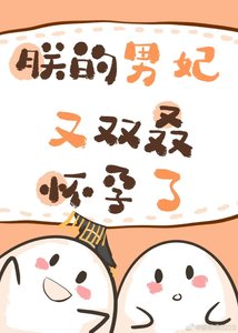 朕的男妃又双叒怀孕了!