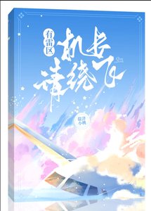 有雷区,机长请绕飞